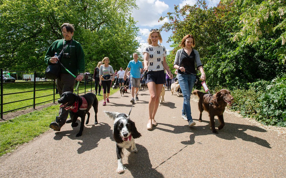 HearingDogs's tweet photo. New year, new you? Why not sign-up to our Great British Dog Walk for a fun way to exercise https://t.co/awWUzLVJik https://t.co/56lRfw3QF1