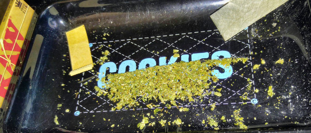 dacqua_'s tweet photo. I hope all my #hardworking #stoners start their #day on the #cookies tray! #wecanall #getblowed !! #wednesdaywisdom https://t.co/rmWcnbFMa2