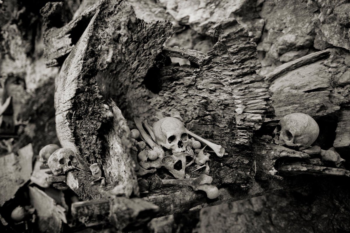 I've uploaded a selection of the Death Is Not The End: #TanaToraja series onto my website antoncoene.com.