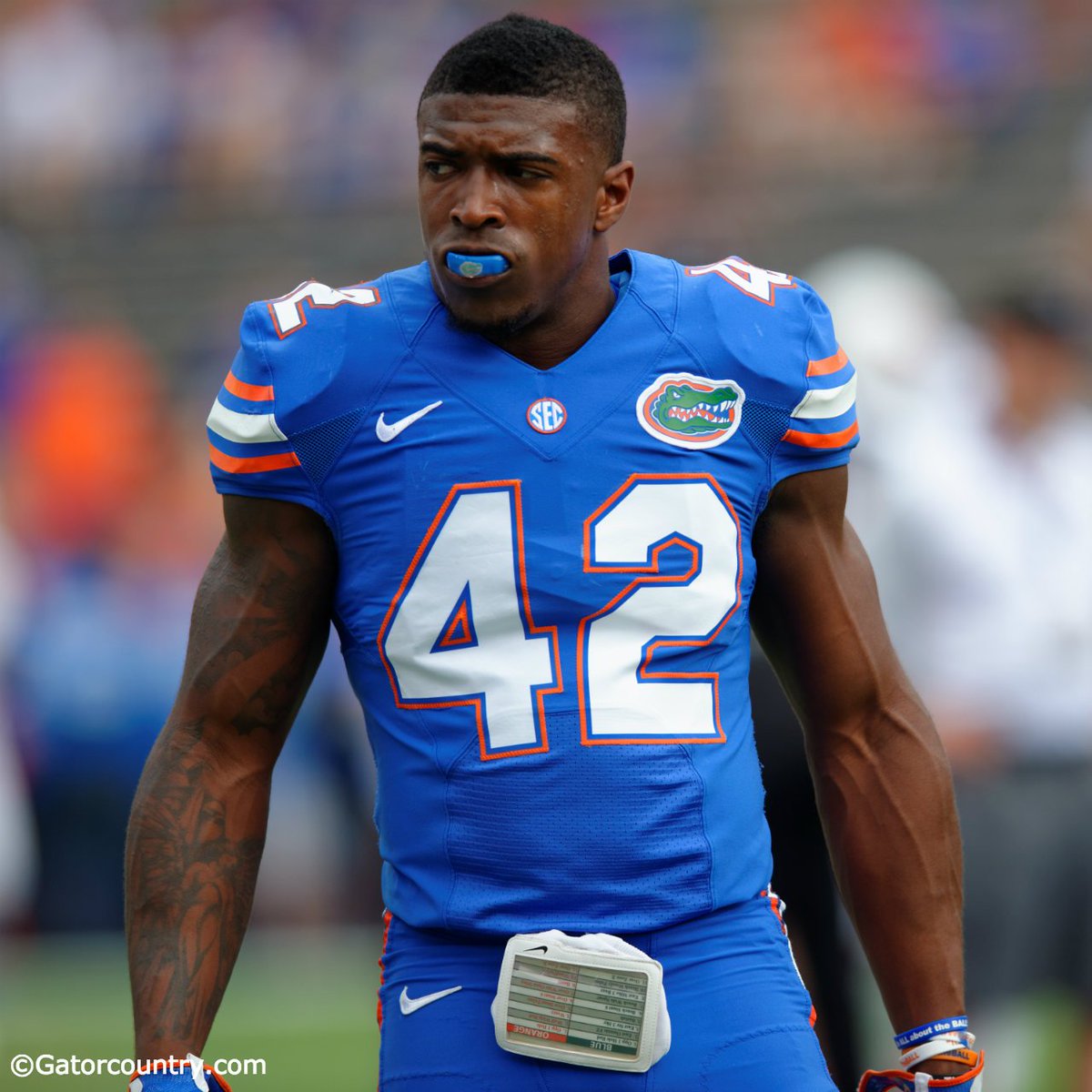 DFF42�s GFX Shop New Stuff (10/6) Free DeShaun Watson