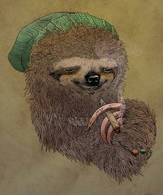 SlothStoned's tweet image. Welcome to 2016, another year to enjoy!