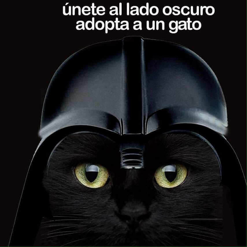 sergat0's tweet image. Únete.....