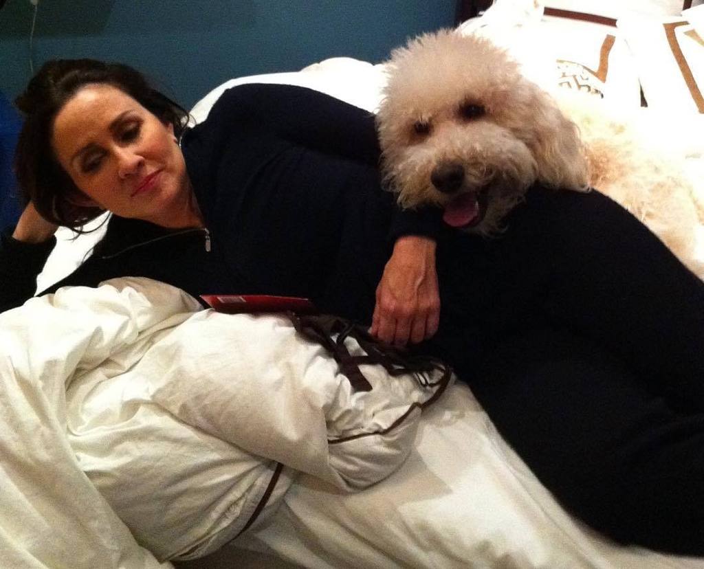 Embedded image permalink