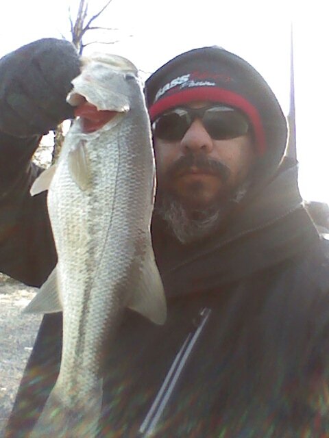 AlVieraFishing's tweet photo. Today was a jerk kinda day....lol Caught on a @SkirmishBaits Aim7 jerk bait. #iBass360 https://t.co/F1niABANZR