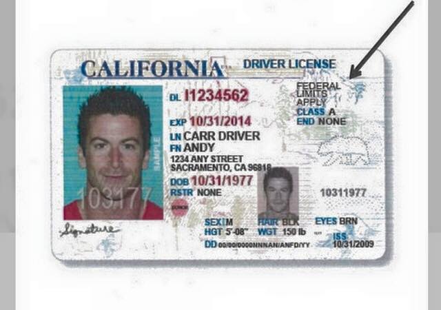 AB 60: Driver's Licenses for Undocumented Immigrants in California – My  Undocumented Life