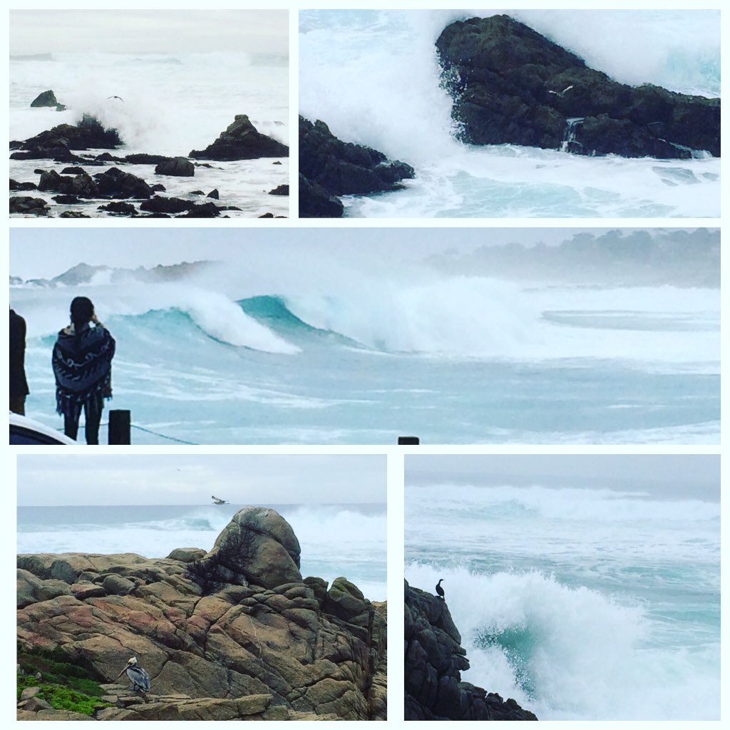 Caliman8's tweet photo. #gotwaves
Storms are kicken up da surf in pebble https://t.co/9kjsTA0nzU
