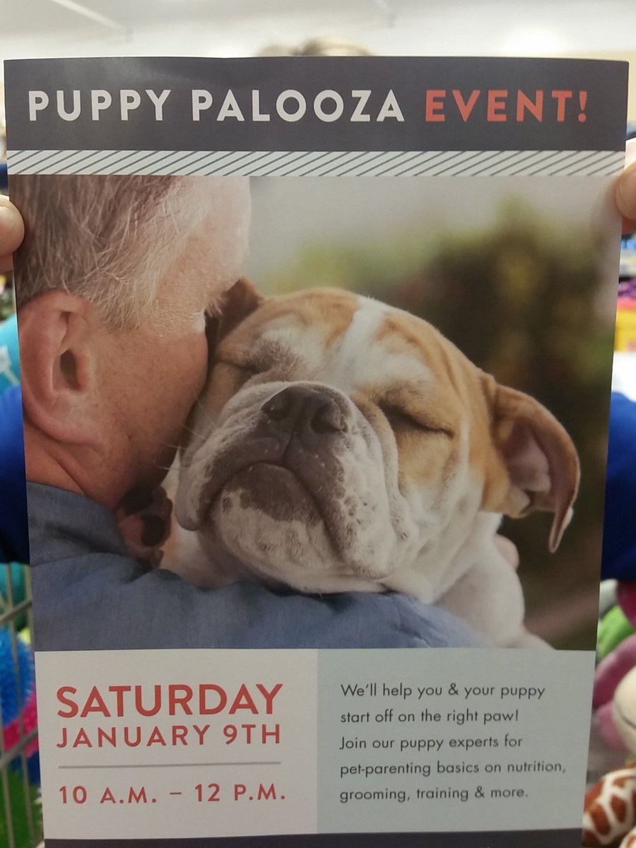 PetSmart Mandeville tweet media