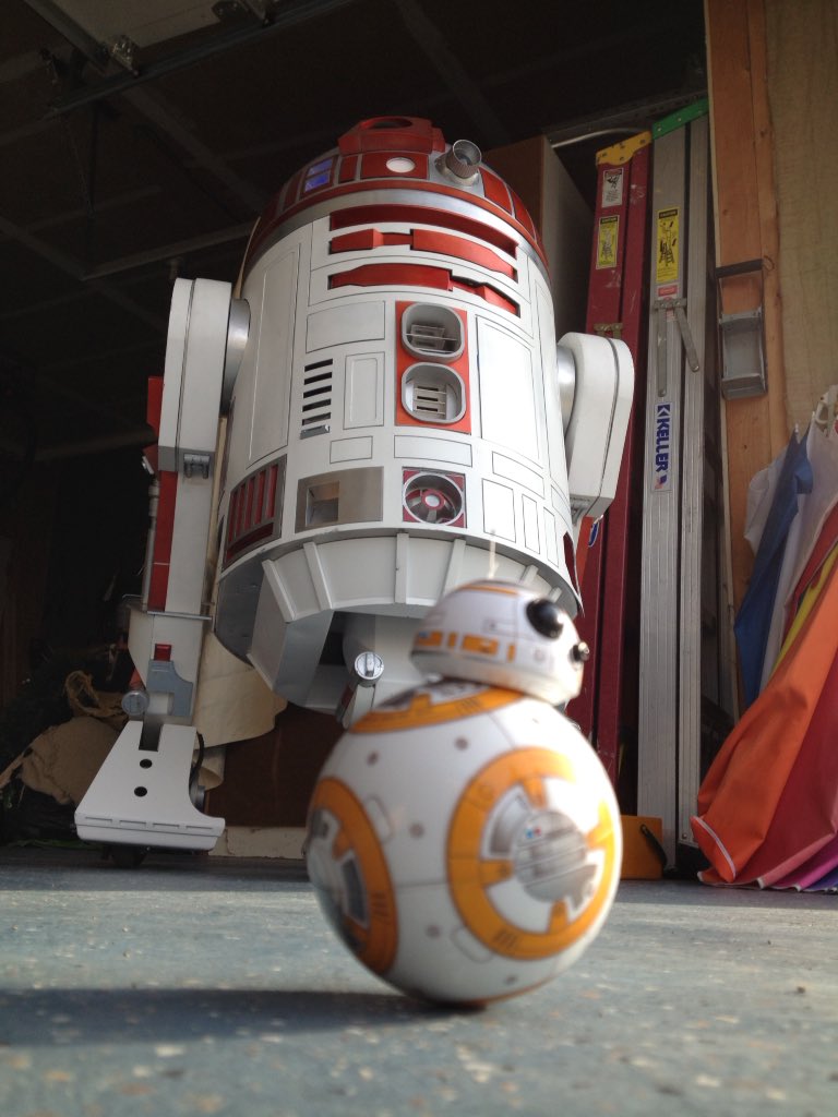 Met Mr. Big Time today. I don't see what all the excitement is all about. But he is kinda cute. #bb8  #whelmed