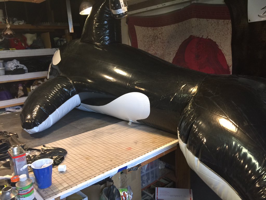 Takudragon's tweet photo. *mad scientist laugh* The 3 meter orca has been converted! now he needs a victim!! #funthingstomake https://t.co/X1MlBvbuoX