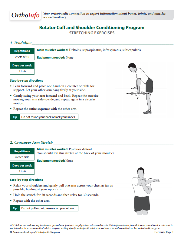AAOS on Twitter "Check out these rotator cuff and shoulder