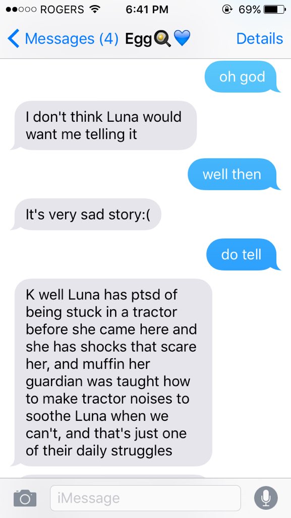 skyyyyyyeeeeee's tweet photo. keep in mind Luna's his cat... #justeggthings @gordzhanna https://t.co/oWw3kItzUb