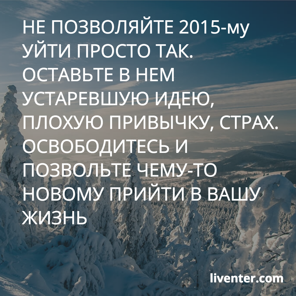liventercom tweet picture