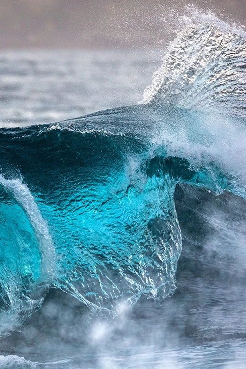 cloud9viewss's tweet image. 🌊🌴