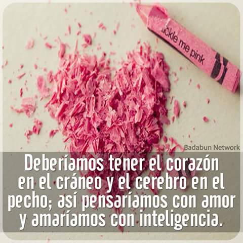 basnyperez's tweet photo. #conecta el corazón con el cerebro https://t.co/hmCFhhaDT0
