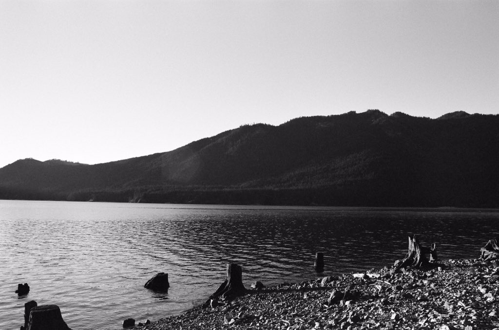dnz_media's tweet photo. Finally got my film developed. Here's a few of my favorite shots from the rolls! #shootfilmstaybroke https://t.co/Z24pZ8qUdp