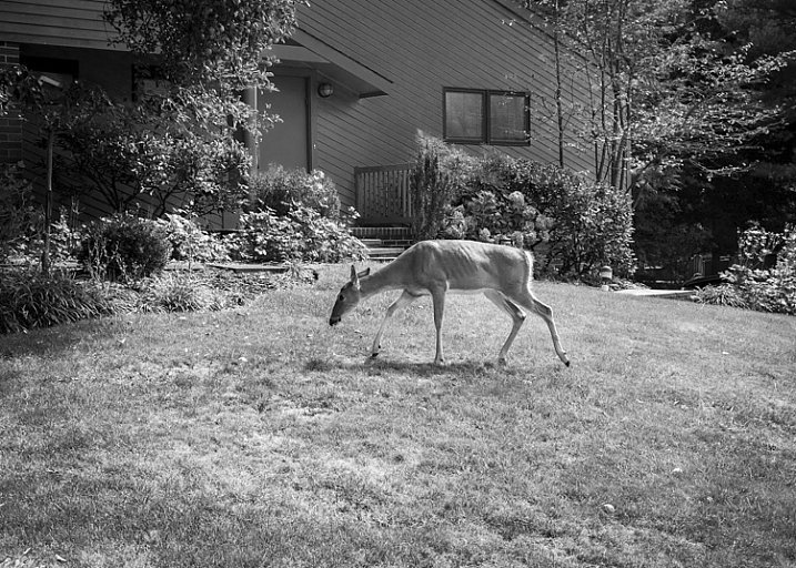 picatog's tweet photo. Photograph Close to Home to Improve Your Photography https://t.co/6Gz5bB9bbs https://t.co/e4k6NrAGoo