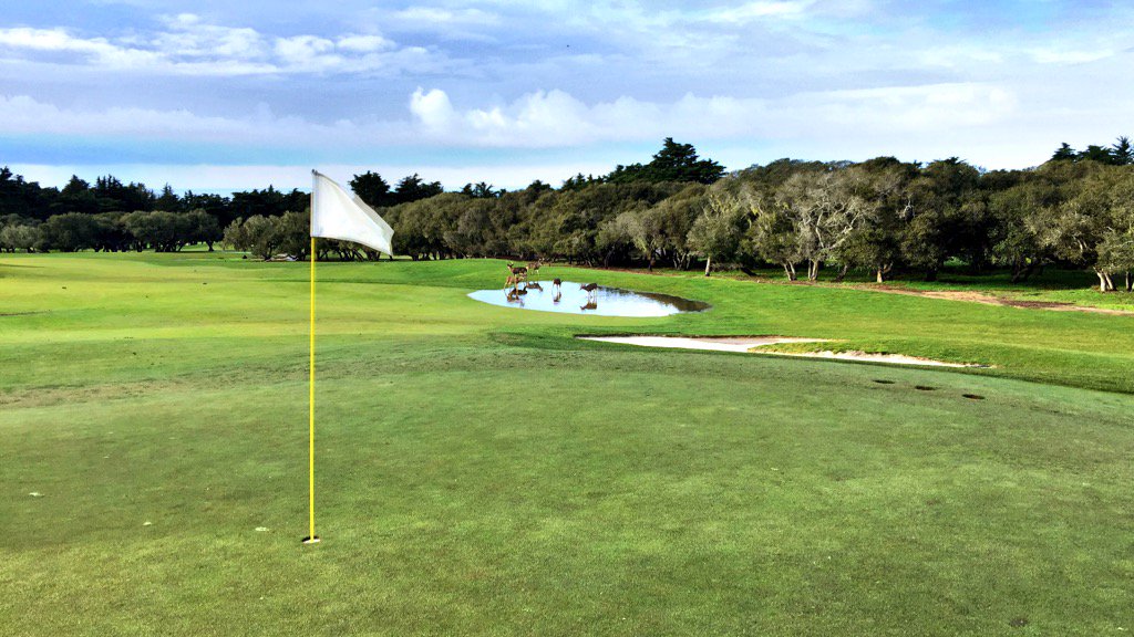 If Bayonet &amp; Black Horse in Monterey had a hotel on property, it could rival any golf resort in the U.S. <a href="/BBHgolf/">Bayonet&BlackHorse</a>