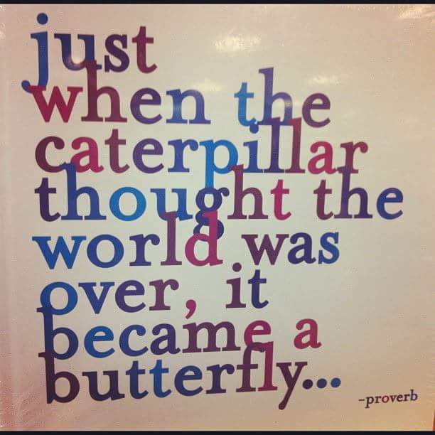 MassConsulting1's tweet photo. Never give up! You're so much better than you know. https://t.co/BNjL9neWRG