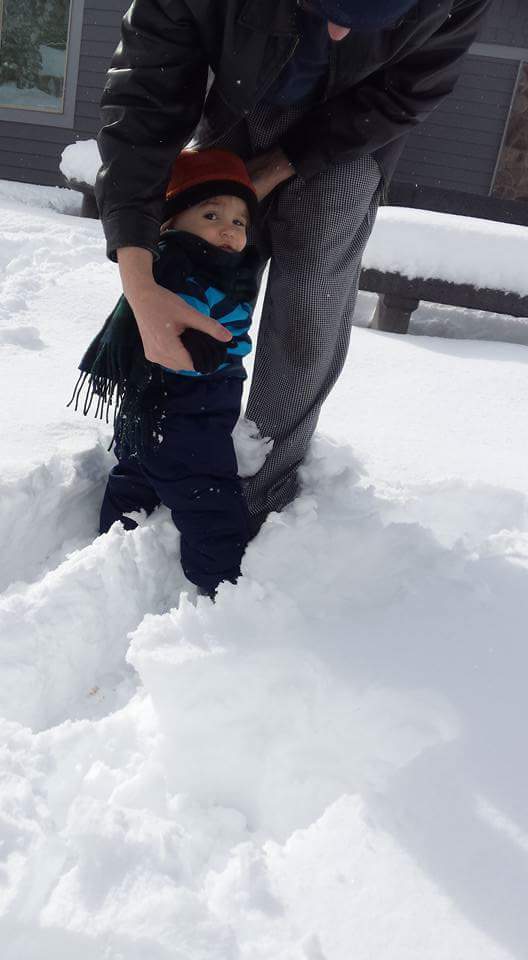 BarbPix's tweet photo. Anyone want a short snowy photo session? Contact me ( barb sherman photo) at 928 853 2198. Yay for snow in Flagstaff https://t.co/A54PhimeR2