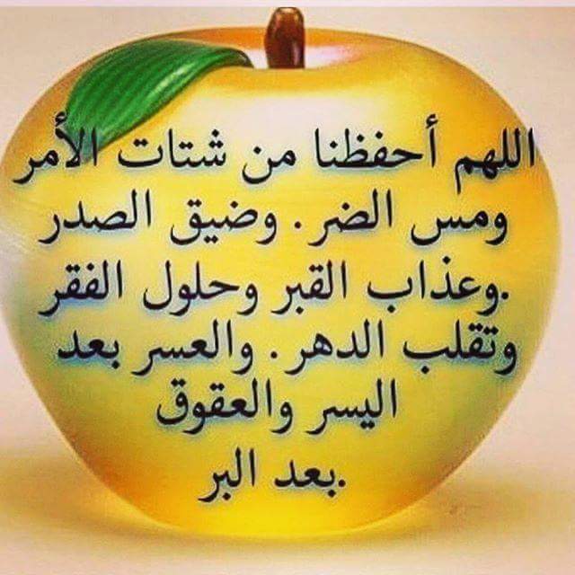 اللهم صلي على محمد واله محمد
الطيبين الطاهرين،،،

اسعد الله صباحكم احبتي بكل خير،،