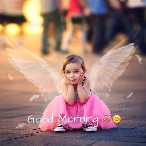 Dr Ankurpoonam Markam On Twitter Good Morning All Tweet Fennnnn