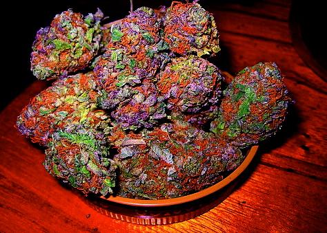 So Stoned Tho tweet media