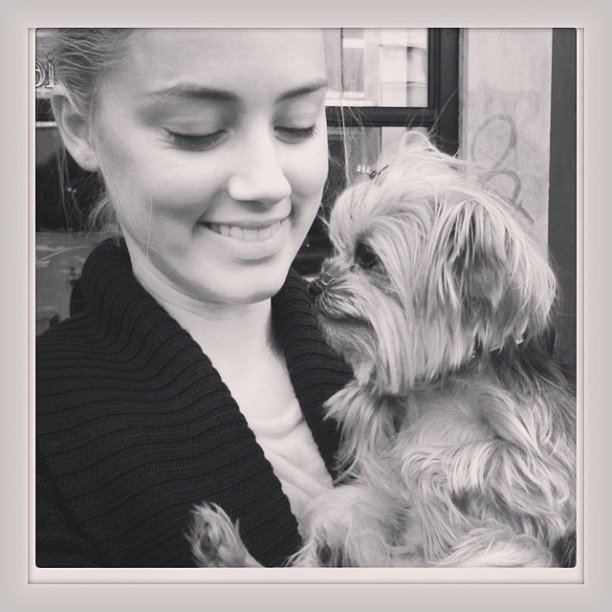 LightlingFly's tweet image. This little guy stole my heart today!