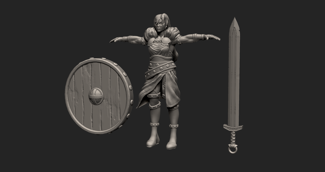 HellionStudios's tweet photo. Here's @TobiasForsling's early WIP of our new character, Shield Maiden! #indiedev #3Dart https://t.co/HoS32W5D3n