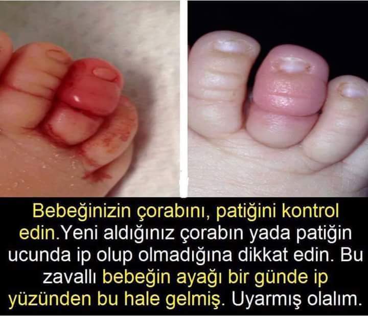 Zehra Bulucu Zehrabulucu Twitter Zehra Bulucu Zehrabulucu Twitter