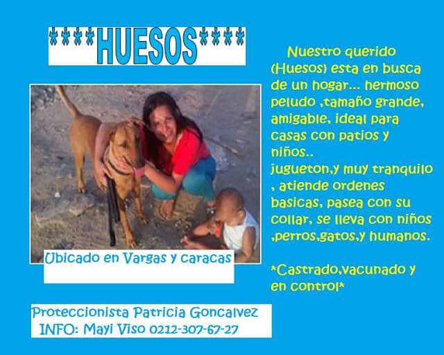 mayiviso tweet picture