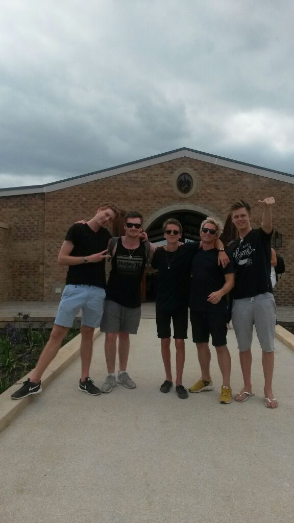 A day in #plett includes vineyards, elephants, monkeys and these 5 funny dudes! #plettsummer