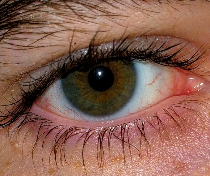 Watch Xiexe's leaked NSFW photo on TwXstars