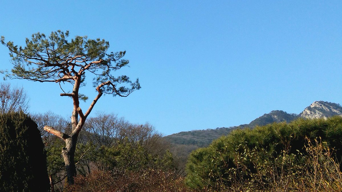 #겨울
불국산 풍경 ~
( 20160107 / 경기 양주 )

겨울 한파속의 불국산 위의 하늘이 너무나도 맑고 푸르르네요 ~~^^
youtu.be/kUa2CmKT_3Y