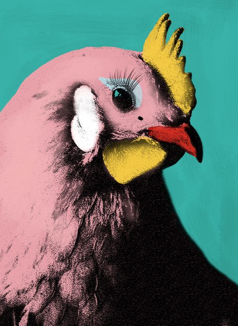 Beanies_Flavour's tweet photo. Marilyn Moncrow #BirdCelebs https://t.co/7KnMByGLjM