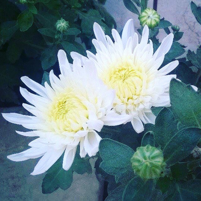 SamiraHasan02's tweet photo. ❤️ https://t.co/RZTVjkBkpr