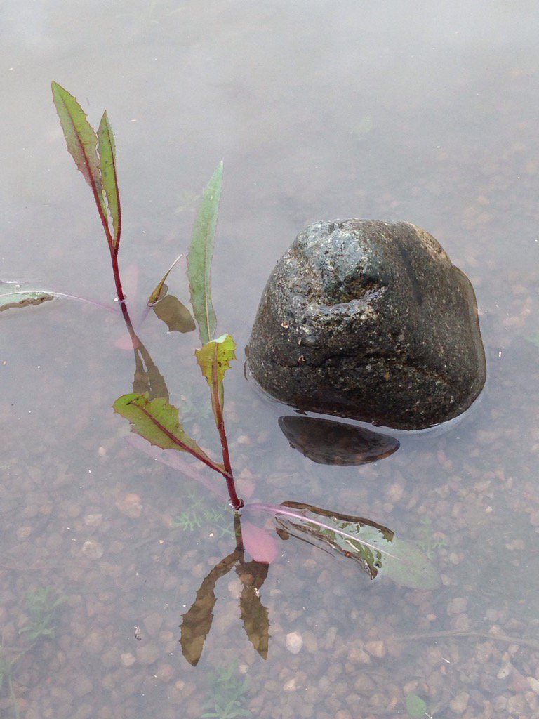 davidbmoore's tweet image. While helping Kids in Focus I got instant Karma