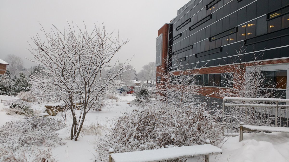 1pantunes's tweet photo. View of our lab this morning @AlgomaU https://t.co/uOQWVpxmHj