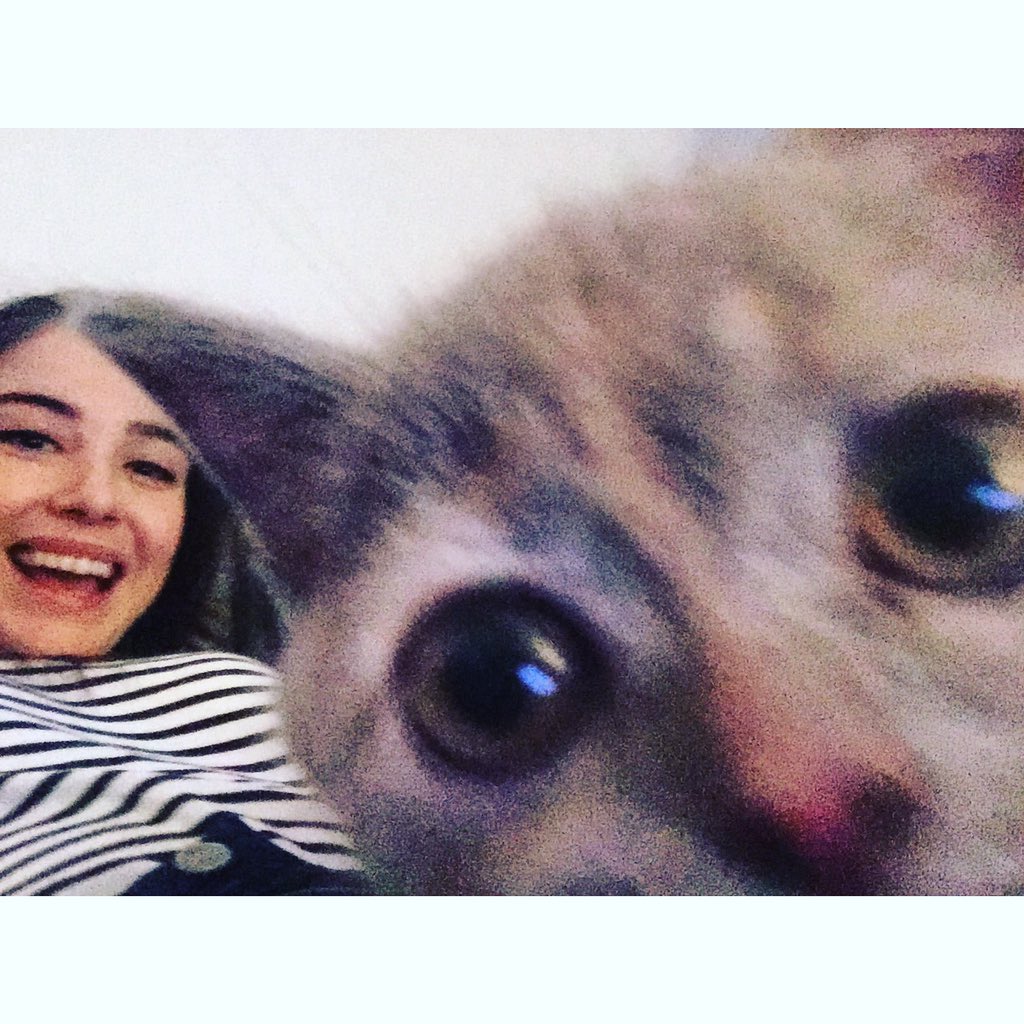 Sherlock yeni bölüm mü 🎉🎉🙆🏻🙆🏻🍾🍾 biz hazırız 🐥