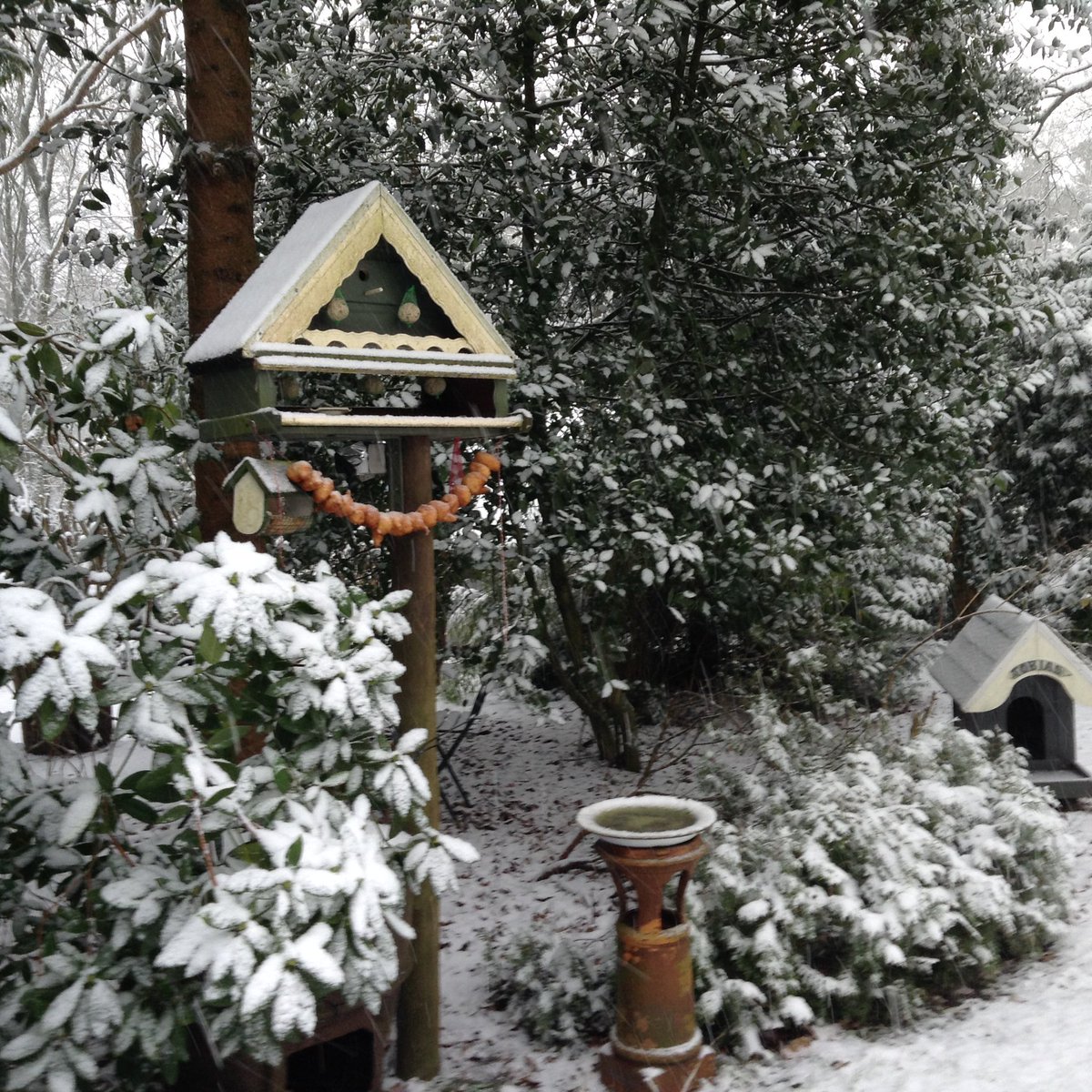 Voor mij blijft het genieten van de sneeuw ijzel ...