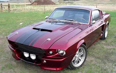 jdm_bunny's tweet image. #mustang#sexy