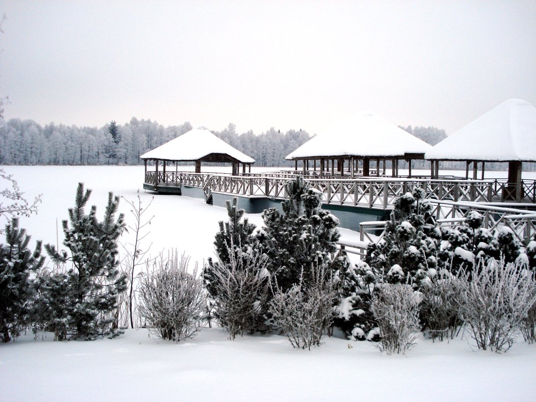 Snowy and cold winter came to Lithuania! Isn't it beautiful? #vilnius #winter #borabora #lithuania