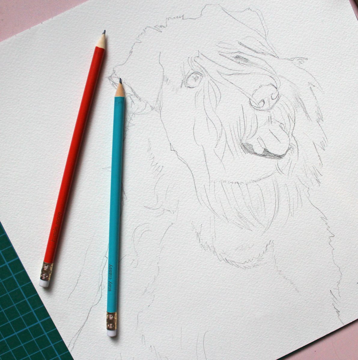 FinnleyElliott's tweet image. Sketched out this #Wheaten Terrier today using my new #marimi pencils! #hustlemore #stayclassy