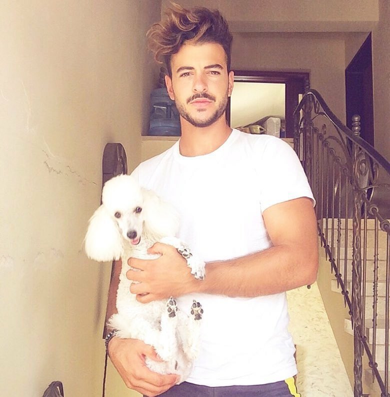 UsefOsman's tweet photo. Schanel is coming to visit me soon !:)
✈️🐩 https://t.co/K0GJNYbnrZ