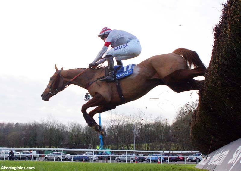 #ThrowbackThursday A story destined for the big screen. DREAM ALLIANCE leaps to win the 2009 Welsh Grand National.