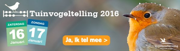 Tel op 16 of 17 januari een half uur de vogels in uw tuin. Meedoen is leuk en gemakkelijk! tuinvogeltelling.nl