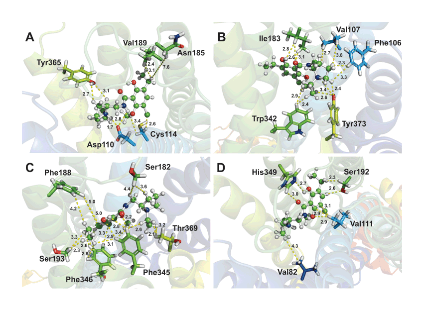 view urban regions ecology and planning beyond