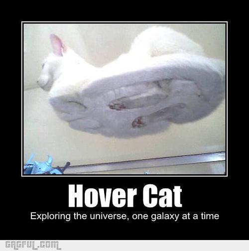 LaunchBlue's tweet image. Wait... since when can Korin hover. :O