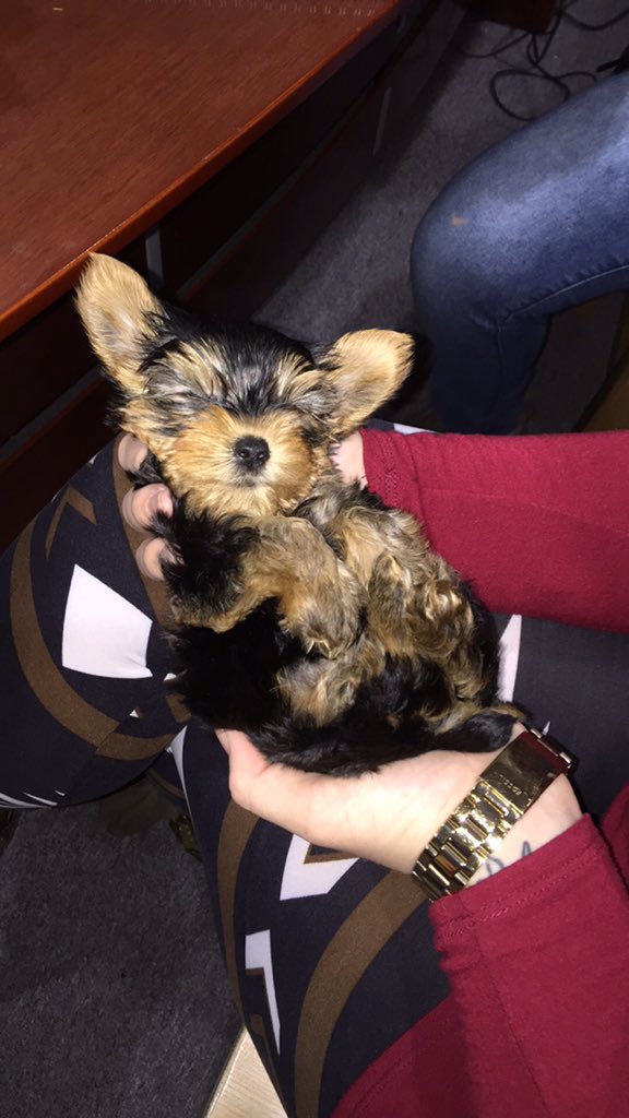 BNClaary's tweet photo. #happytoby https://t.co/ldJ1V7puML