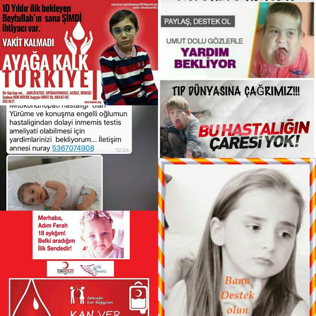 sibel_yucel's tweet photo. TıpDünyasınaÇağrımız YardımEdin 

@MKAtaturkTC @CocuklarCANdir @AyLaBen_ @NoAskNoAci @OdunHerif @gulbenergen https://t.co/LIPbUeaKaD