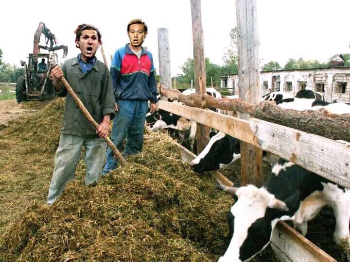 Collegamento permanente dell'immagine integrata